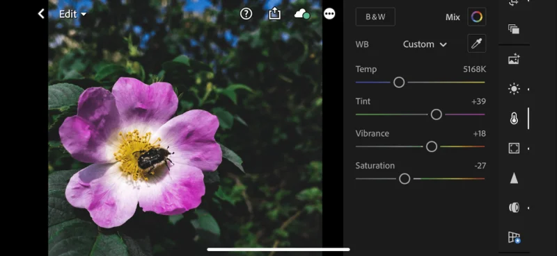 Forbedre dine iPhone-billeder med Halide og RAW (DNG)