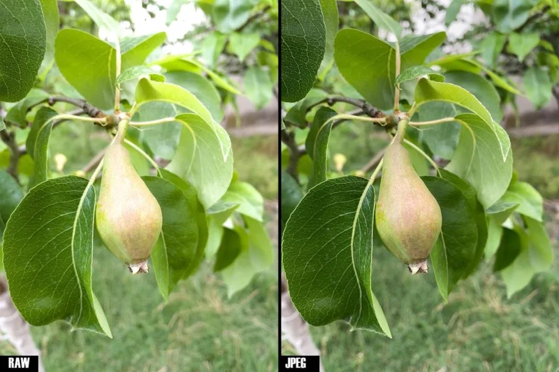 Forbedre dine iPhone-billeder med Halide og RAW (DNG)