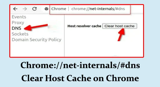 Chrome://net-internals/#dns Rensa värdcache i Chrome
