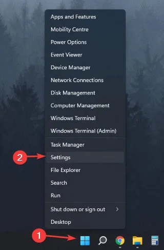 Muselagging og stamming på Windows 11 – FIKSET