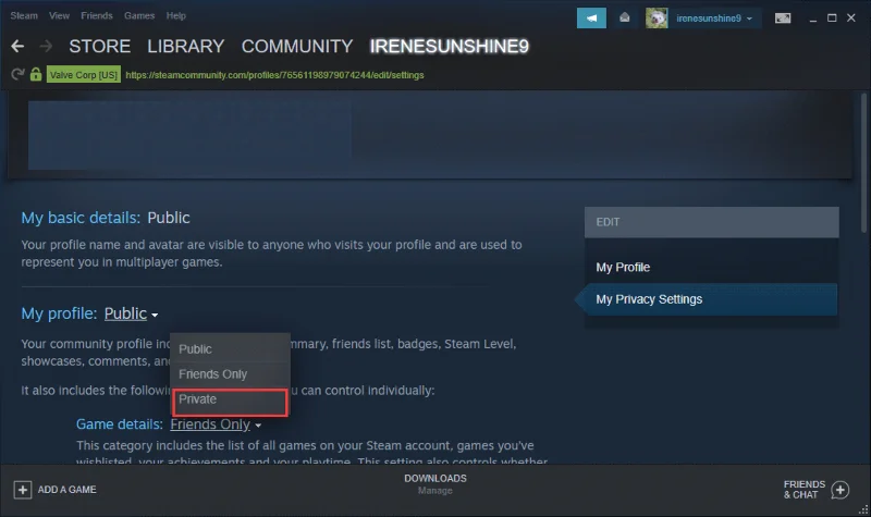 [Ultimativ guide] Hur döljer jag spelaktivitet på Steam från vänner?