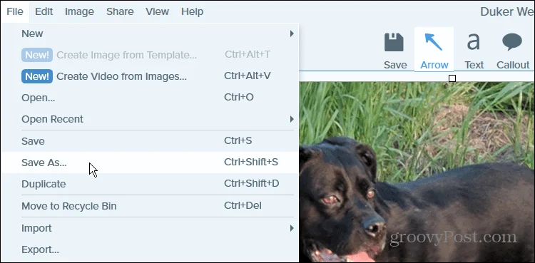 Hur man konverterar en PNG till JPG i Windows 11