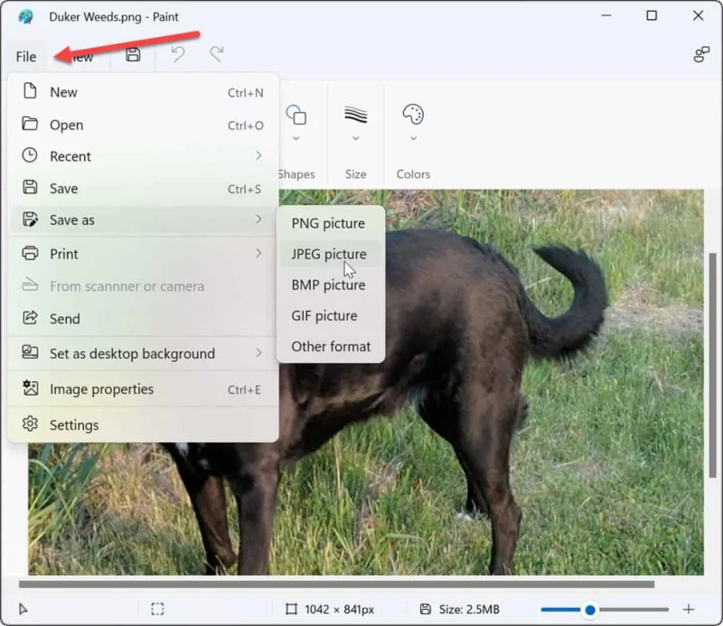 Hur man konverterar en PNG till JPG i Windows 11