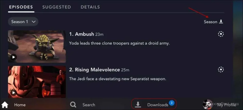 Jak stahovat videa z Disney Plus na prezeranie offline