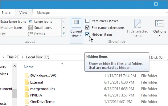 Hur man visar dolda filer och mappar i Windows 10