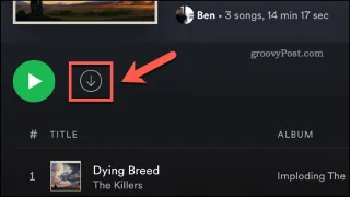 A Spotify nem tudja lejátszani az aktuális dalt?  Hogyan javítható