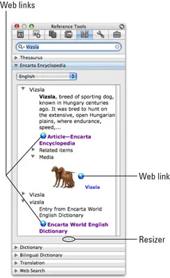 Uporaba spletnih referenčnih orodij Word 2008 za Mac