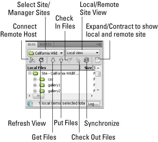 Dreamweaver CS5 For LuckyTemplates Cheat Sheet