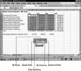 Vigade väljatrükkimine teksti kõneks muutmise funktsiooniga Excel 2002-s