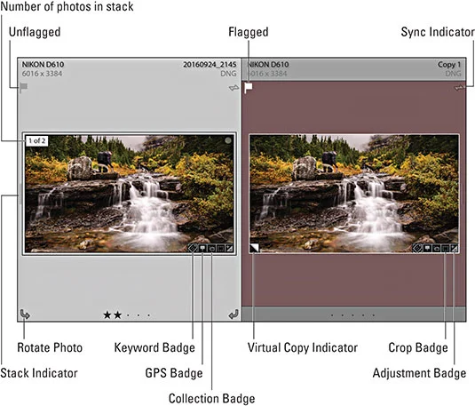Adobe Photoshop Lightroom Classic LuckyTemplates csalólaphoz