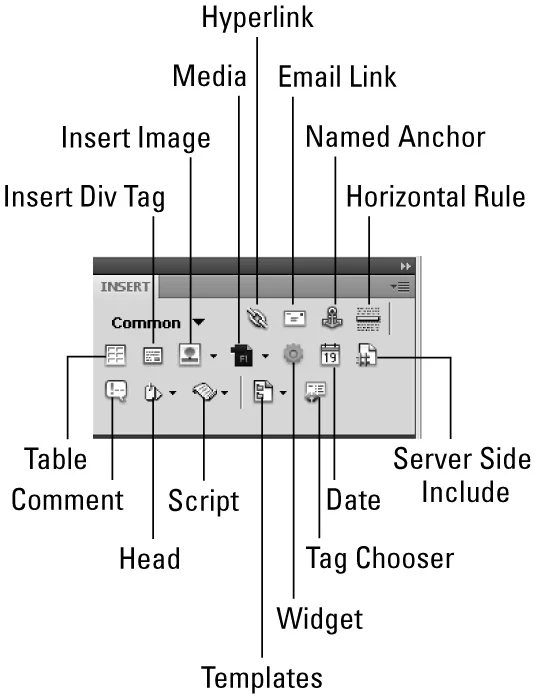 Dreamweaver CS5 Common Insert Panel