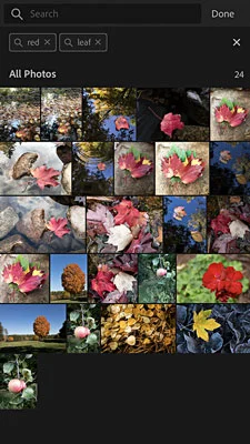 Organisere og redigere bilder i Lightroom-mobilappen