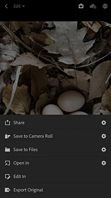 Organisere og redigere bilder i Lightroom-mobilappen