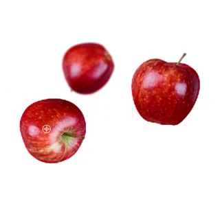 Izmantojiet Klonēšanas zīmoga rīku programmā Photoshop CS5