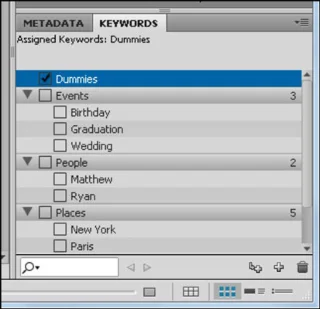 Naviger i CS5 Adobe Bridge