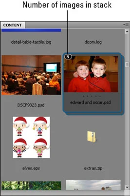 Naviger i CS5 Adobe Bridge