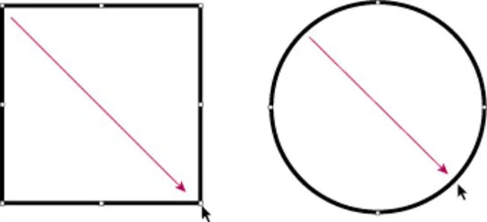 Adobe CS5 Illustrator Grunnleggende formverktøy