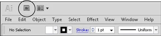 Adobe Bridge-applikasjon i CS5