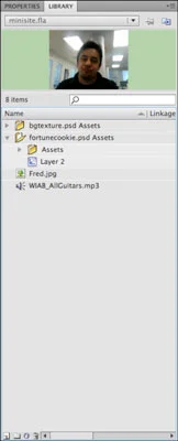 Hva er Adobe Flash CS5-biblioteket?