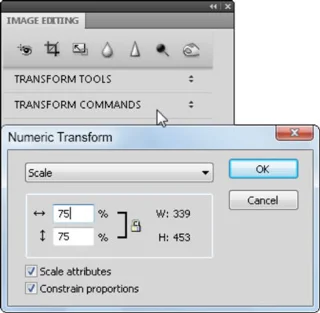 Slik skalerer du bilder i Adobe Fireworks CS5