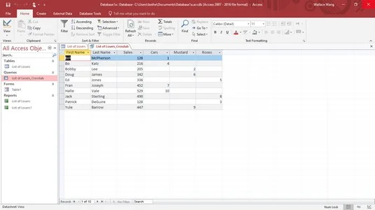 Kako poizvedovati po zbirki podatkov MS Access 2019