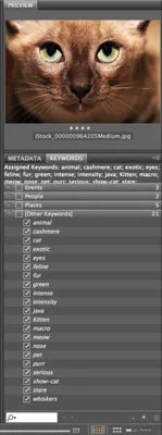 Slik bruker du nøkkelord for Photoshop CS6-filer i Bridge