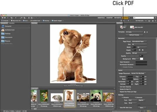 Hvordan lage PDF-presentasjoner fra Photoshop CS6-filer i Bridge