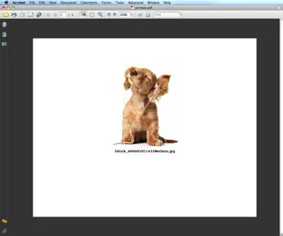 Hvordan lage PDF-presentasjoner fra Photoshop CS6-filer i Bridge
