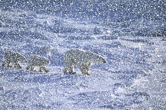 Hvordan lage snø og regn i Photoshop CS6