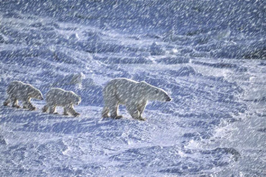 Hvordan lage snø og regn i Photoshop CS6