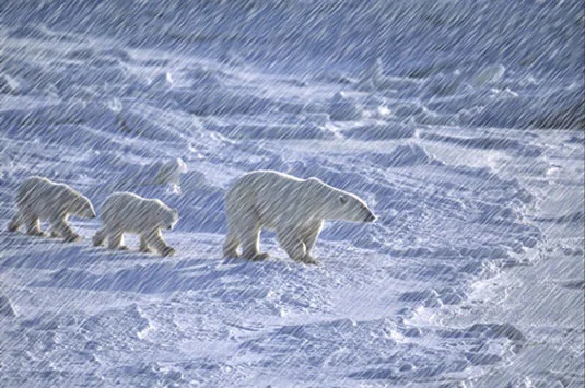 Hvordan lage snø og regn i Photoshop CS6