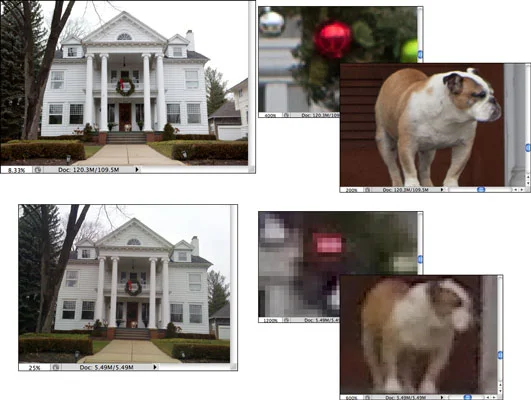 Photoshop CC: The True Nature of Pixels