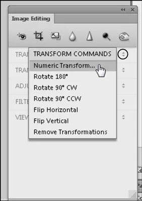 Slik skalerer du bilder i Adobe Fireworks CS6