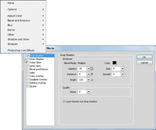 Slik bruker du filtre i Adobe Fireworks CS6