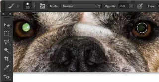 Korriger røde øyne i Photoshop CC