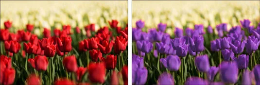 Как да превключвате цветовете със замяна на цвета във Photoshop CS6