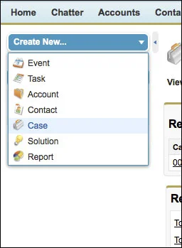 Rekordok a Salesforce.com Service Cloudban