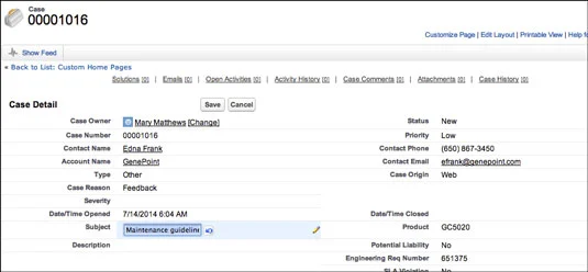 Rekordok a Salesforce.com Service Cloudban