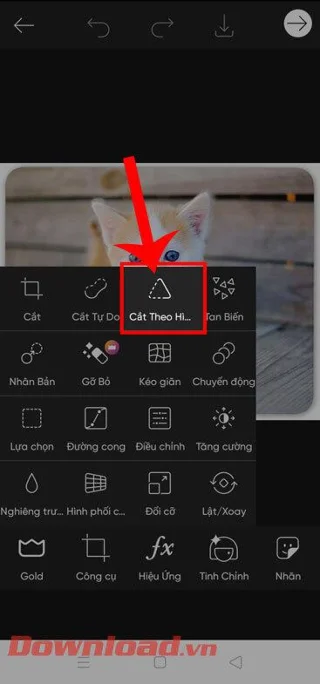 Navodila za rezanje fotografij v kroge na PicsArt