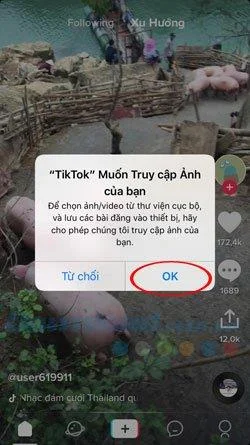 Kā izmantot TikTok videoklipus kā tālruņa fonu