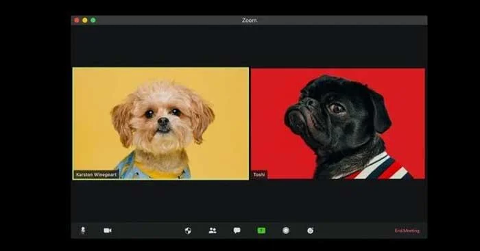 Cik daudz interneta jaudas izmanto Zoom?