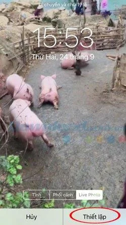 Kā izmantot TikTok videoklipus kā tālruņa fonu