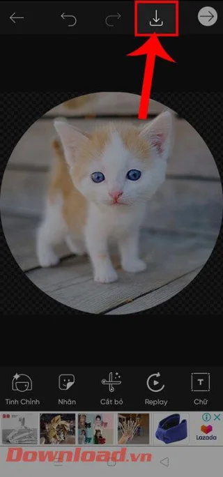 Navodila za rezanje fotografij v kroge na PicsArt
