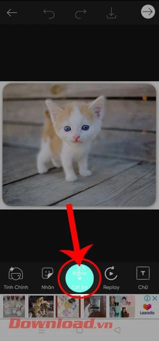 Navodila za rezanje fotografij v kroge na PicsArt