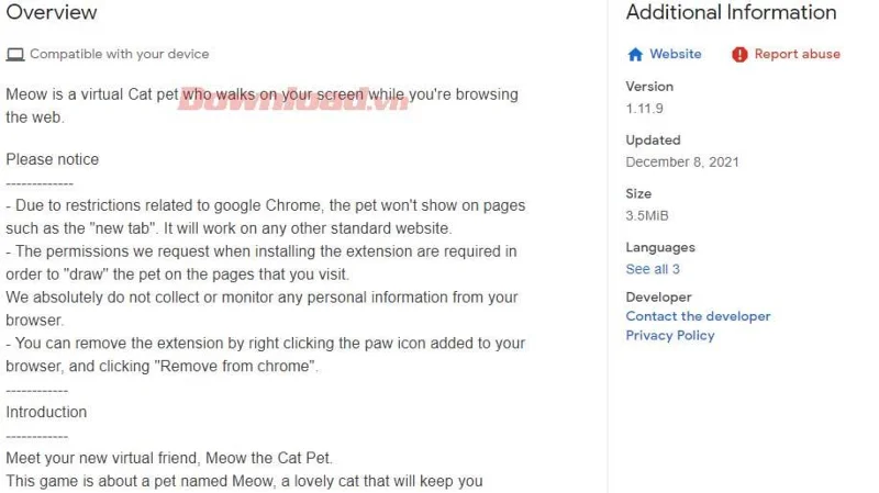 Padomi par Chrome interneta veikala lietošanu, kas jums jāzina