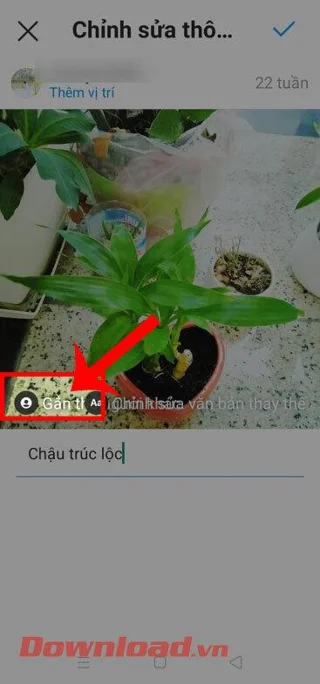Navodila za urejanje objav, objavljenih na Instagramu