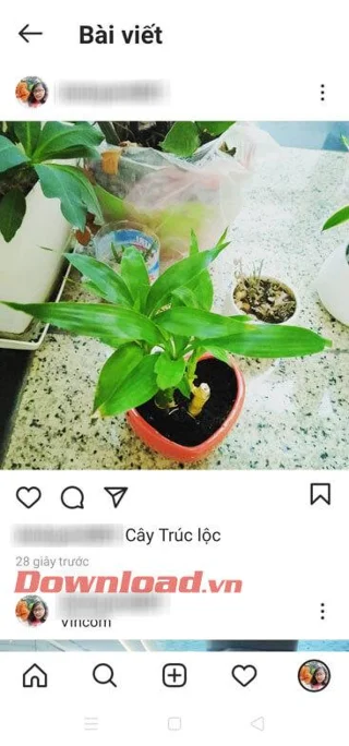 Navodila za hkratno objavo fotografij z Instagrama na Facebooku