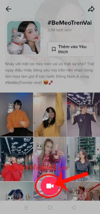 Инструкции за запис на видеоклипове в TikTok с ефекта Baby Cat на рамото ви