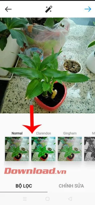 Navodila za hkratno objavo fotografij z Instagrama na Facebooku