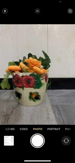 Kako omogočiti mrežne okvirje na iPhoneu